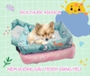 NỆM VUÔNG HÌNH GẤU TEDDY SIÊU CUTE CHO CHÓ MÈO