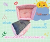 NỆM VUÔNG HÌNH GẤU TEDDY SIÊU CUTE CHO CHÓ MÈO