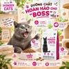 THỨC ĂN HẠT Wonder Cats All Life Stages 1kg CHO MÈO MỌI LỨA TUỔI