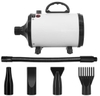 MÁY SẤY LÔNG CHÓ MÈO PET DRYER CÔNG SUẤT 3800W