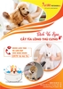 Nơi đáng tin cậy để các Ba Mẹ có thể gửi gắm thành viên đặc biệt của mình cho ARALE PET GROOMING cắt tỉa lông, vệ sinh tai, chân,...cho các bé.