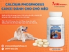 THUỐC CALCIUM PHOSPHORUS - BỔ SUNG CANXI CHO CHO CHÓ MÈO - 50 VIÊN