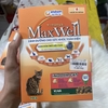 THỨC ĂN HẠT MAXWELL CHO MÈO HỘP 400G