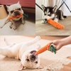 ĐỒ CHƠI DÂY THỪNG CÀ RỐT