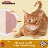 Súp Thưởng Đôi Cho Mèo Mix 2 Vị Cattyman 60g
