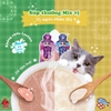 Súp Thưởng Đôi Cho Mèo Mix 2 Vị Cattyman 60g