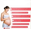 Yến sào giúp trẻ thông minh từ trong bụng mẹ