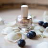 CAUDALIE PREMIER CRU THE SERUM