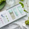 Bộ dưỡng cho da mụn Caudalie VINOPURE
