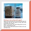 Combo giữ ẩm da sáng mịn InnerB Aqua Rich DoubleUp & 4 hộp Collagen InnerB Glowshot
