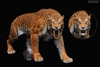 Mô hình Hổ Răng Kiếm Smilodon Rebor Year Of The Tiger Limited