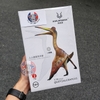 Mô hình Khủng Long Bay Quetzalcoatlus HAOLONGGOOD tỉ lệ 1/35 chính hãng