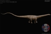 Mô Hình Khủng Long Diplodocus Rebor tỉ lệ 1/35 chính hãng