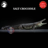 Mô hình Cá Sấu Nước Mặn Crocodile W-Dragon 52cm tỉ lệ 1/12