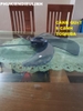 CÁNH QUẠT 5 CÁNH TOSHIBA (HÀNG CHÍNH HÃNG)