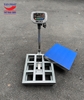 can-ban-zemic-300kg