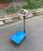 can-dem-dien-tu-30kg