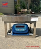 can-ghe-dien-tu-300kg-xk3118t1-keli