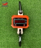 can-treo-5-tan-crane-scale