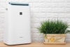 Máy hút ẩm và lọc không khí Sharp DW-E16FA-W (38m2)