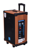 Loa Kéo AZPRO AZ-12 Bass 30 Karaoke Bluetooth