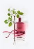 Karl Lagerfeld Fleur De Murier Eau de Parfum 100ml