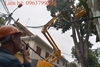 Bán xe thang nâng người 16 m