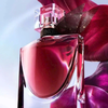 Lancôme La Vie Est Belle L'Elixir EDP