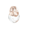 Bvlgari Omnia Crystalline EDP ( Mẫu mới 2024 )