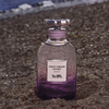Coach Dreams Moonlight EDP