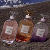 Coach Dreams Moonlight EDP