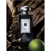 Jo Malone Oud & Bergamot Cologne Intense