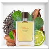 Hermes Terre d’Hermes Eau Intense Vetiver