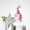 Jean Paul Gaultier Scandal for Women (Hộp giấy)