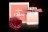 Chloe Roses for women
