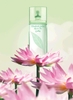 Elizabeth Arden Green Tea Lotus