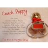 Coach Poppy For Women