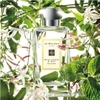 Jo Malone White Jasmine & Mint