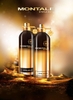 Montale Aoud Night