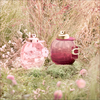 Coach Wild Rose EDP