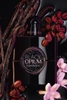 Yves Saint Laurent Black Opium Le Parfum