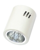 Đèn downlight