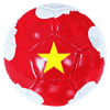 qua-bong-da-akpro-af2400-so-4-trang-do-vang