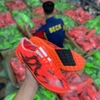 giay-bong-da-adidas-f10-dragon-rong-hai-mau-tf