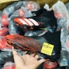 giay-bong-da-adidas-predator-20-mutator-den-mui-do-vach-trang-khong-day-cao-co-v