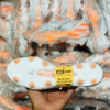 giay-bong-da-adidas-nemeziz-21-1-trang-den-vach-cam-fg