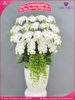 Chau-hoa-lan-ho-diep-trang-18-canh-tr340