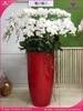 chau-hoa-lan-ho-diep-trang-30-canh-tr86