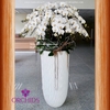 Chậu lan hồ điệp 40 cành hoa màu trắng được thiết kế trên nền chậu dáng cao tạo nên sản phẩm đẹp vô cùng bắt mắt
