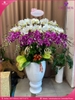 chau-hoa-lan-ho-diep-trang-tim-30-canh-tt107